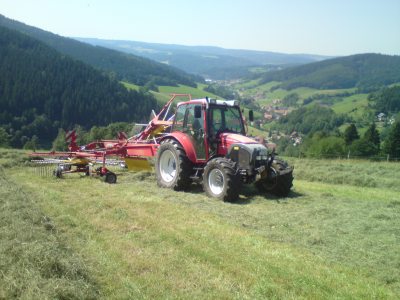 bei der Heuernte bei der Heuernte