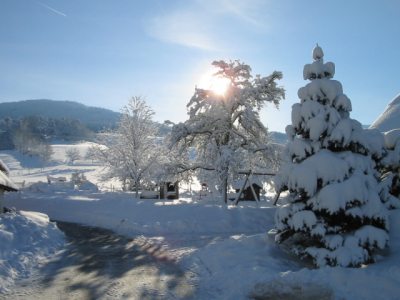 Winterlandschaft Winterlandschaft