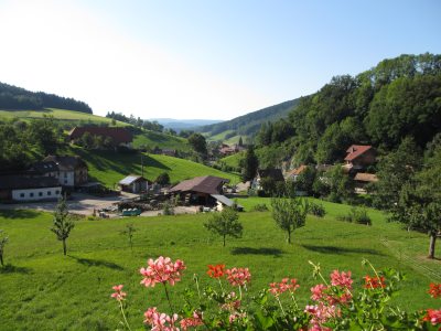 Ausblick Wohnung Fernblick Ausblick Wohnung Fernblick