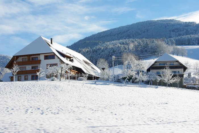 Winteridylle Winteridylle