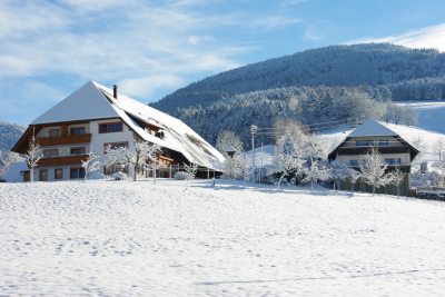 Winteridylle Winteridylle