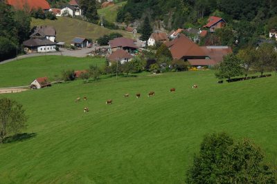 Unser Bauernhof aus der Vogelperspektive Unser Bauernhof aus der Vogelperspektive