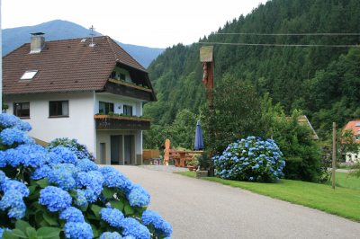 Ferienhaus Ferienhaus