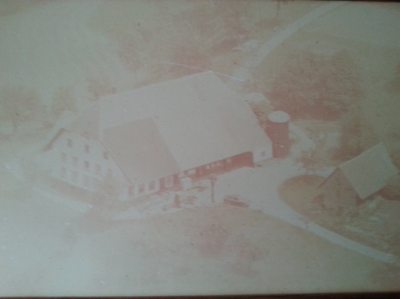 Hofbild in den 80erJahren Hofbild in den 80erJahren