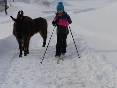 Wintersport für Mensch und Tier Wintersport für Mensch und Tier